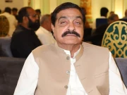 ڈیرے پر فائرنگ سے4 افراد قتل، اپم پی اے کرنل (ر) سردار ایوب سمیت3 افراد شدید زخمی، مریم نواز کا نوٹس