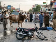 راولپنڈی: موٹرسائیکل سوار 2 افراد کو بیل کی ٹکر، ایک شخص جاں بحق، دوسرا شدید زخمی
