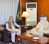 نائب وزیراعظم سے سعودی سفیر کی ملاقات، مکالمے اور سفارت کاری کے فروغ پر زور