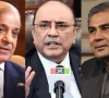 وزیر داخلہ محسن نقوی کی  وزیراعظم سے ملاقات، صدر مملکت سے بھی رابطہ