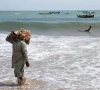 کراچی کی ساحلی پٹی پر پھیلی بدبو کے اسباب سامنے آگئے