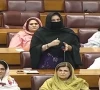 قومی اسمبلی اجلاس:  لیگی کی رکن نوشین افتخار نے اپوزیشن ارکان کو 