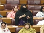 قومی اسمبلی اجلاس:  لیگی کی رکن نوشین افتخار نے اپوزیشن ارکان کو 