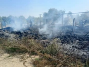 کراچی: میمن گوٹھ میں باڑے میں آتشزدگی: لاکھوں روپے مالیت کے جانور  ہلاک 