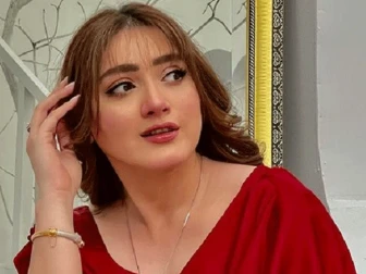 اداکارہ مومنہ اقبال ہراسانی کیس ایک دو دن میں مکمل کر لیا جائے گا، ڈی جی این سی سی آئی اے
