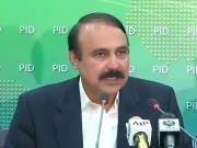 مسلم لیگ (ن) کے رہنما کی محمود اچکزئی کو بانی پی ٹی آئی کی باتوں میں نہ آنے کی تجویز