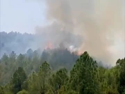 دیر لوئر: اسبنڑ کے گھنے جنگلات میں خوفناک آگ لگ گئی