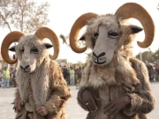 لاہور: جنگلی حیات کے تحفظ سے متعلق آگاہی کے لیے وائلڈ لائف تھیٹر کا شاندار آغاز