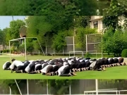 بھارتی یونیورسٹی میں نماز پڑھنا جرم بنادیا گیا؛ مسلم طلبا گرفتار