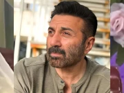  سنی دیول ہندی سینما سے مایوس ہوگئے؟ کون سی فلم انڈسٹری میں جا بسنے کی خواہش ہے 