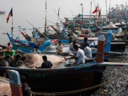 کراچی: ابراہیم حیدری میں مچھلی کے بیوپاریوں سے لوٹ مار کے واقعات میں اضافہ