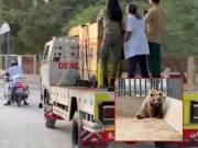 کراچی چڑیا گھر میں اذیت ناک زندگی گزارنے والی رانو اسلام آباد منتقل