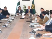 اسلام آباد میں الرجی پیدا کرنے والے درختوں کی کٹائی، شہریوں کی صحت حکومت کی ذمہ داری ہے، وفاقی وزیر