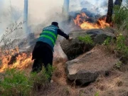 دیر لوئر کے جنگلات میں آگ کی شدت میں اضافہ، کئی کلومیٹر رقبہ متاثر