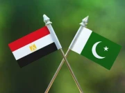غزہ تنازع، پاکستان کا مصر سے مکمل یکجہتی کا اظہار