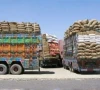 پنجاب اور سندھ کا درآمدی گندم لینے سے انکار، وفاق کو مشکلات کا سامنا