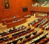 سینیٹ کمیٹی کی وفاقی حکومت کو 2 ہفتوں کے اندر 2 درجن وزارتیں و محکمے بند کرنے کی ہدایت