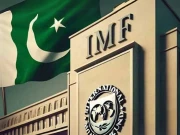 آئی ایم ایف کے تکنیکی وفد کا موسمیاتی تبدیلیوں کیلیے ترقیاتی منصوبوں کو جیو ٹیگ کرنے کا مطالبہ