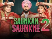 ہنسی کا طوفان لیے کامیڈی فلم سوکن سوکنے 2 سینما گھروں کی زینت بن گئی