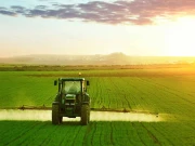 نوازشریف اور وزیراعلیٰ پنجاب مریم نواز شریف کی کاوشوں سے پنجاب میں زرعی انقلاب برپا