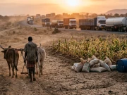 مشرق وسطیٰ جنگ میں اسرائیل کی حمایت نے بھارتی کسانوں کو بحران میں دھکیل دیا 