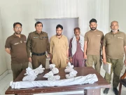 راولپنڈی میں قتل و دہشت گردی سمیت منشیات اسمگلنگ میں ملوث ملزم گرفتار