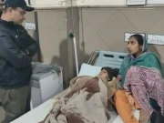 لاہور میں میں پالتو شیر نے بچے کا بازو چبا لیا