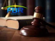 عدالت کا کام معاشی پالیسیوں میں مداخلت کرنا نہیں، وکیل ایف بی آر