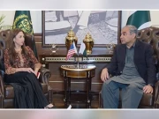 وزیر داخلہ سے قائم مقام امریکی سفیر کی ملاقات، غیر قانونی امیگریشن کی روک تمام پر اتفاق