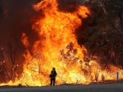 امریکی جنگلات میں ایک بار پھر خوفناک آگ بھڑک اُٹھی؛ ایمرجنسی نافذ 