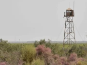 ازبکستان نے چار سال بعد افغانستان کے ساتھ واحد زمینی سرحدی گزرگاہ دوبارہ کھول دی