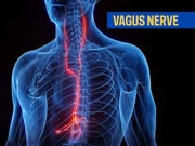 صرف ایک عصب متحرک کر کے دولت ِسکون پائیے