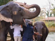 200 ہاتھی، 900 مگرمچھ اور سیکڑوں بڑے جانوروں پر مشتمل اننت امبانی کا زو اسکینڈل بے نقاب