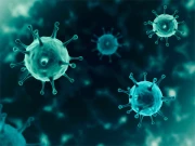 امریکا: ماہرین نے دو نئے وائرسز کے خطرے سے خبردار کر دیا