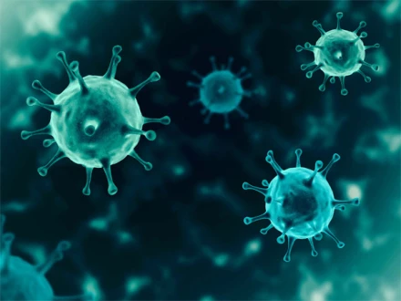 امریکا: ماہرین نے دو نئے وائرسز کے خطرے سے خبردار کر دیا