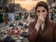 (فوٹو: سوشل میڈیا)
