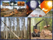 منفی موسمی تغیرات: سب سے زیادہ متاثرہ ملکوں میں پاکستان پانچویں نمبر پر