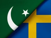 پاک سویڈن سرمایہ کاری مذاکرات نومبر میں ہونے کا امکان
