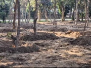 لاہور؛ ناصر باغ میں زیرِ تعمیر انڈرگراؤنڈ پارکنگ پلازہ، ماحولیاتی نقصان بڑھنے کا خدشہ