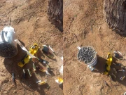 بنوں میں پولیس کی بڑی کارروائی، شہر کو بڑے سانحے سے بچا لیا