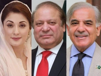 وزیرِ اعظم کی نواز شریف کو ملکی صورتحال کے حوالے سے بریفنگ، مریم نواز بھی موجود