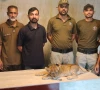 پولیس اینیمل ریسکیو سنٹر، زخمی شیر کے بچے کی جان بچانے کیلئے متحرک