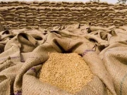 جنوری کا گندم کوٹہ فوری نہ ملا تو آٹے کی قیمتیں بے قابو ہو جائیں گی، فلور ملز ایسوسی ایشن