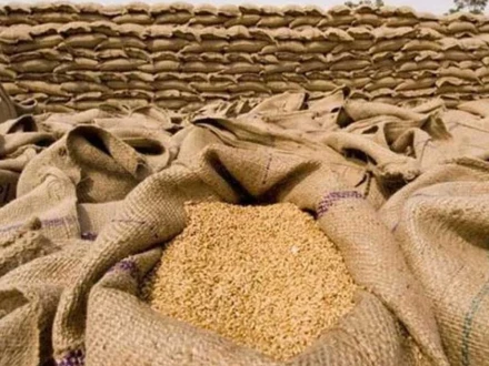 حکومت کا فوری طور پر 10 لاکھ ٹن گندم درآمد کرنے کا فیصلہ