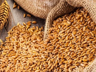 پاسکو کے پاس موجود 5 لاکھ میٹرک ٹن گندم مسابقتی بولی کے ذریعے فروخت کرنے کی منظوری