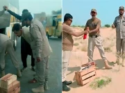 پنجاب وائلڈ لائف کی کارروائیاں؛ بٹیروں کی اسمگلنگ، طوطوں کا شکار کرنے والے گرفتار