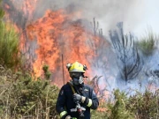 پرتگال میں جنگلاتی آگ سے ایک اور فائر فائٹر جاں بحق، مجموعی تعداد 8 ہوگئیں