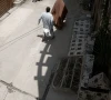 پشاور؛ خاتون کے ساتھ نازیبا حرکت کرنے کی فوٹیج سامنے آگئی