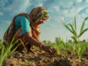 خواتین کاشت کار