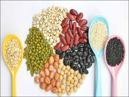 10 فروری: دالوں کا عالمی دن اور غذائیت میں ان کا اہم کردار